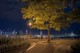 Hamilton Park