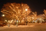 Motomachi Park