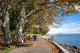 Stanley Park
