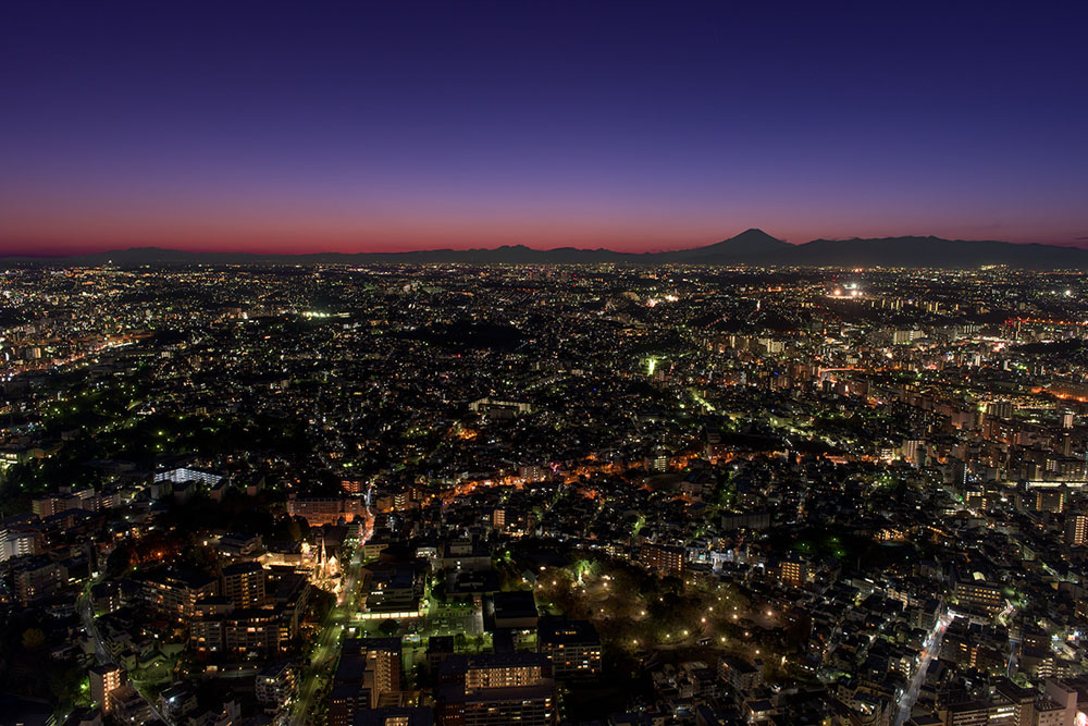 Yokohama Landmark Tower SKY GARDEN