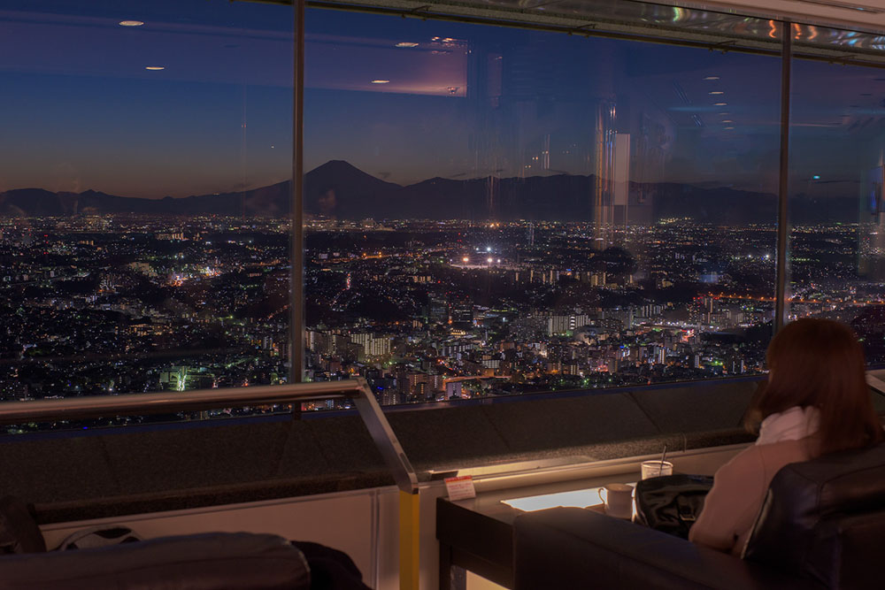 Yokohama Landmark Tower SKY GARDEN