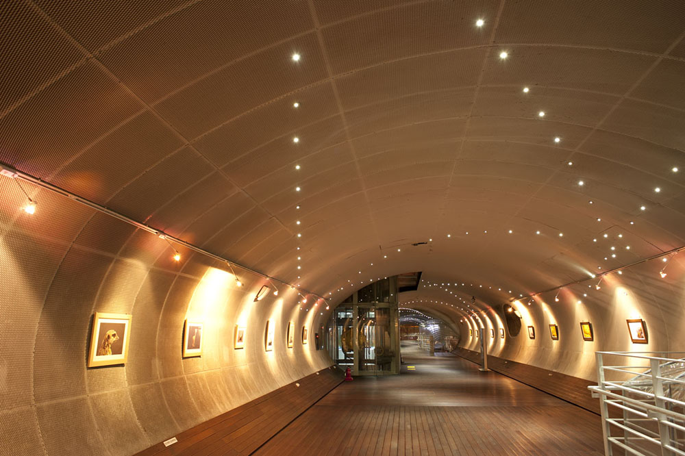 Ttukseom Cultural Complex J-Bug